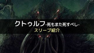 スリーブ紹介 ディクシット のカードサイズに合うスリーブ ボドスリ