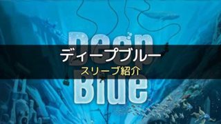 スリーブ紹介 カタン スタンダード版 のカードサイズに合うスリーブ ボドスリ