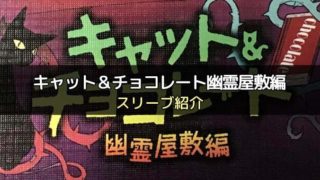 スリーブ紹介 犯人は踊る のカードサイズにぴったりのスリーブを紹介 ボドスリ